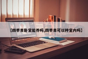 【四季青卧室能养吗,四季青可以种室内吗】